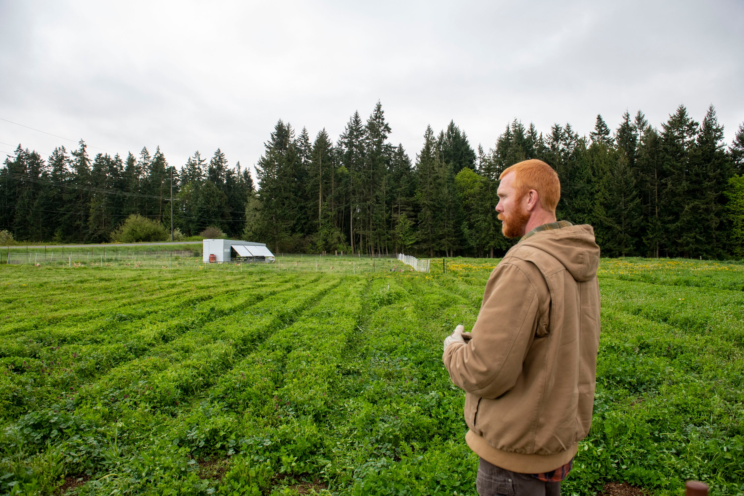 Farm Tour Fridays